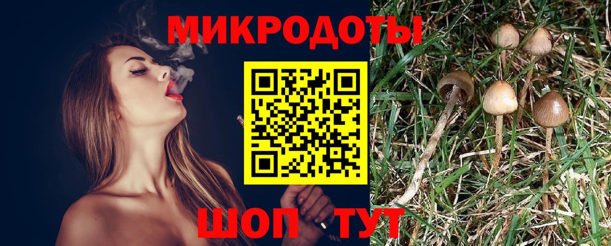Псилоцибиновые грибы Magic Shrooms  Вход с VPN  Нарьян-Мар 